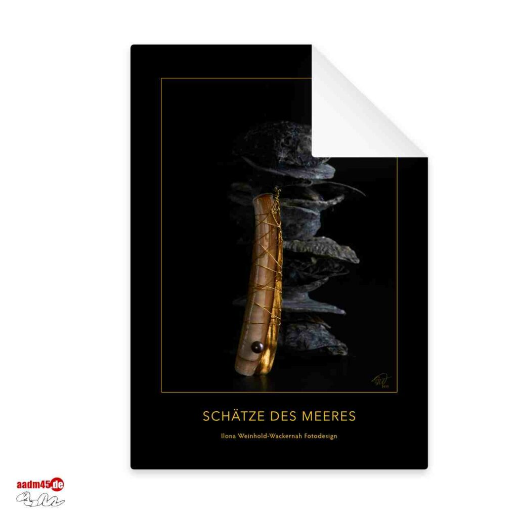 Bundle 4 Postkarten Foto-Edition Schätze des Meeres