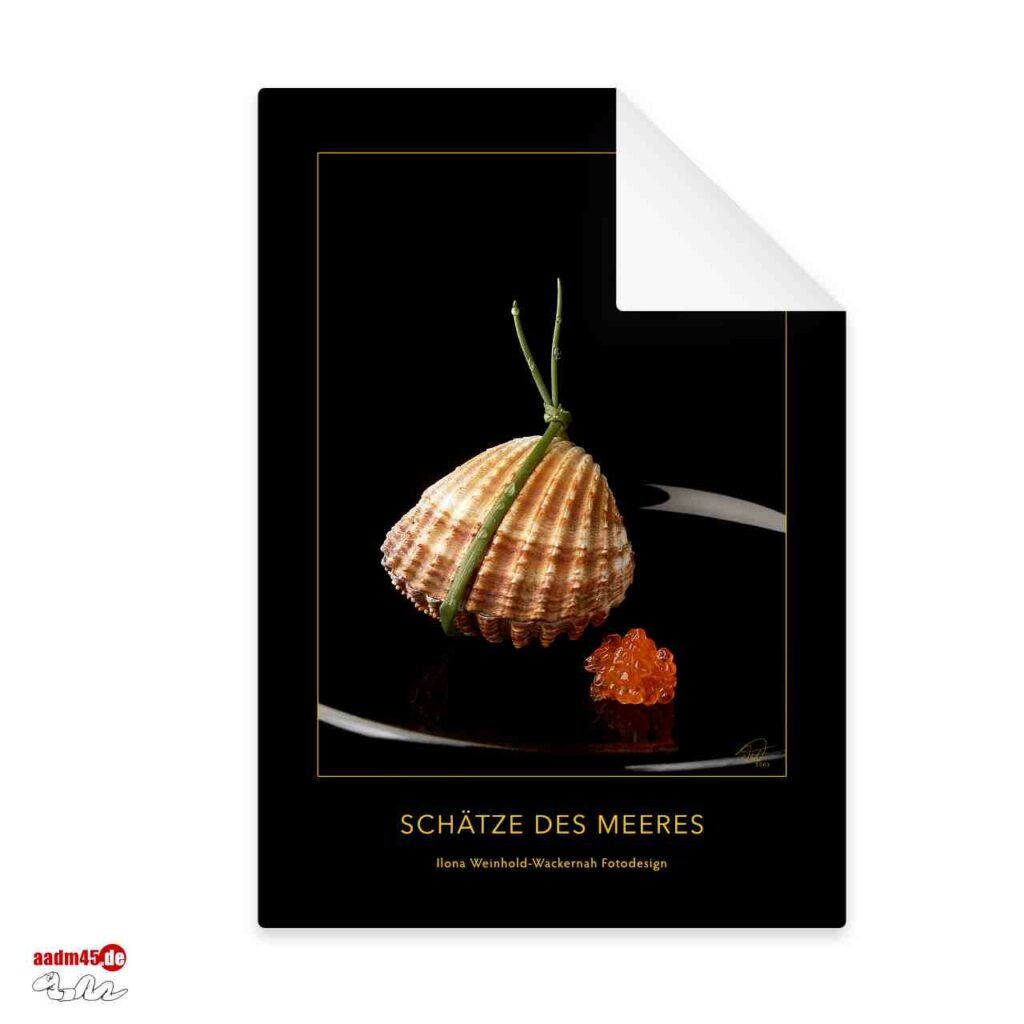 Edition Schätze des Meeres Acanthocardia Tuberculata Postkarte