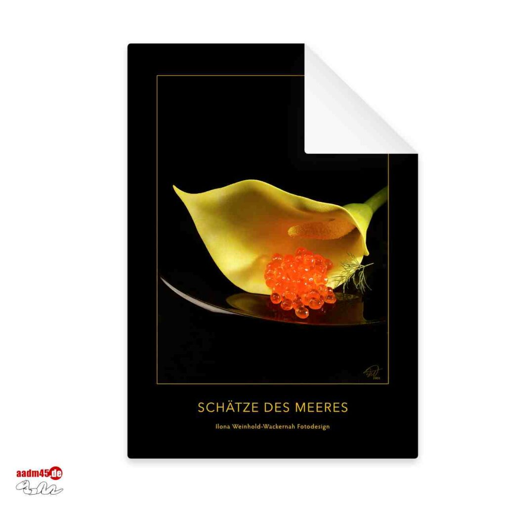 Edition Schätze des Meeres Haute Cuisine Postkarte