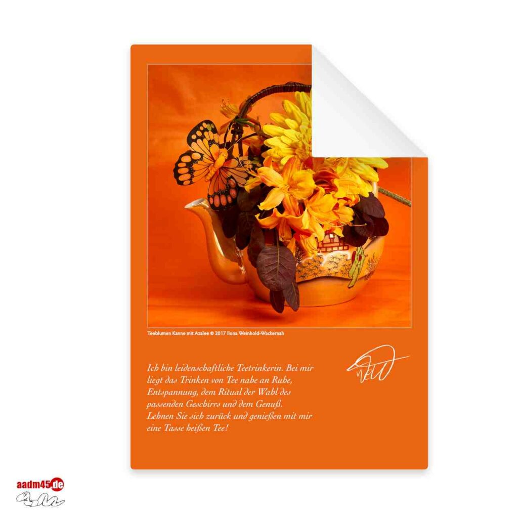 Bundle 7 Postkarten Foto-Edition Teeblumen