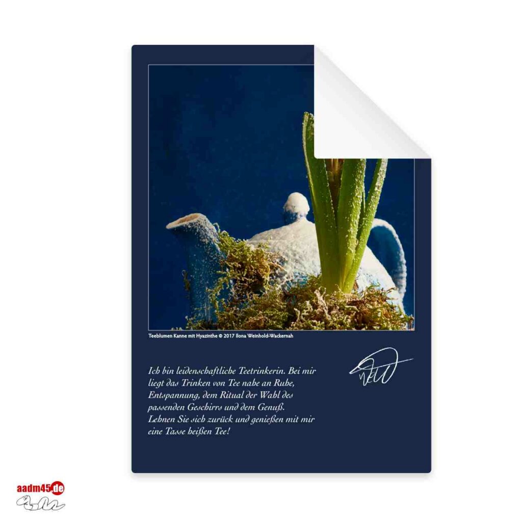 Bundle 7 Postkarten Foto-Edition Teeblumen