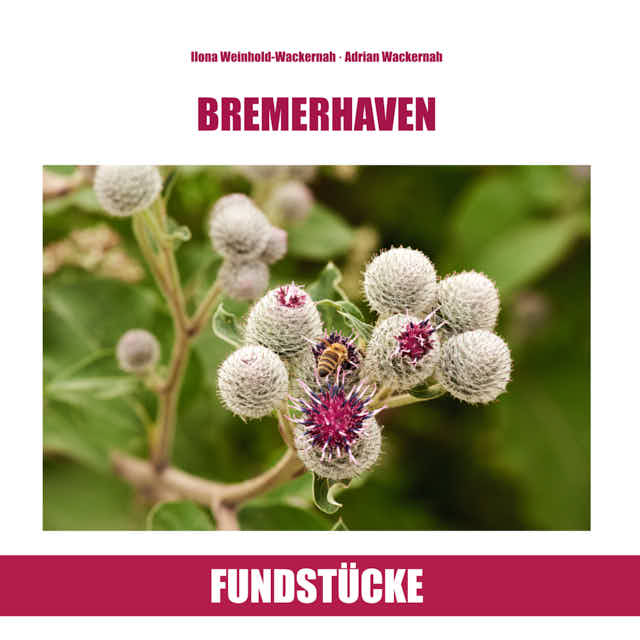 Bilderbuch »Bremerhaven · Fundstücke«