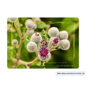 Bremerhaven Distelblumen Glasschneidebrett