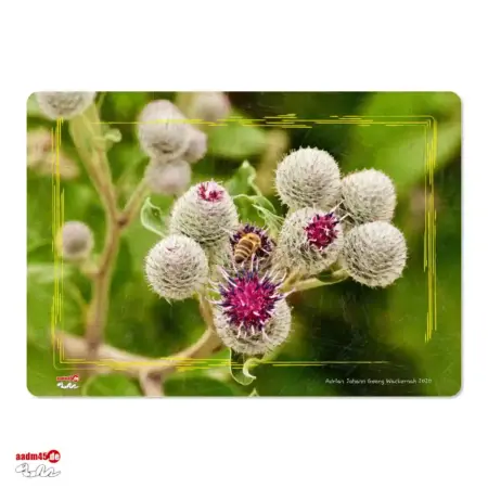 Bremerhaven Diestelblumen Glasbrett