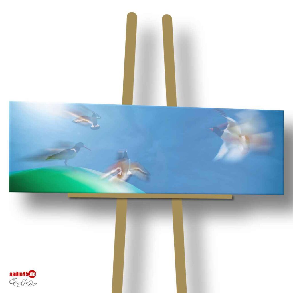 Norderney Austernfischer Motion 120x40 cm Wandbild
