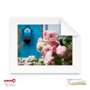 Bokel Rosa Rosen Print 50x40 PP