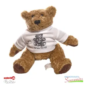 Teddybär Plüschtier mit Shirt