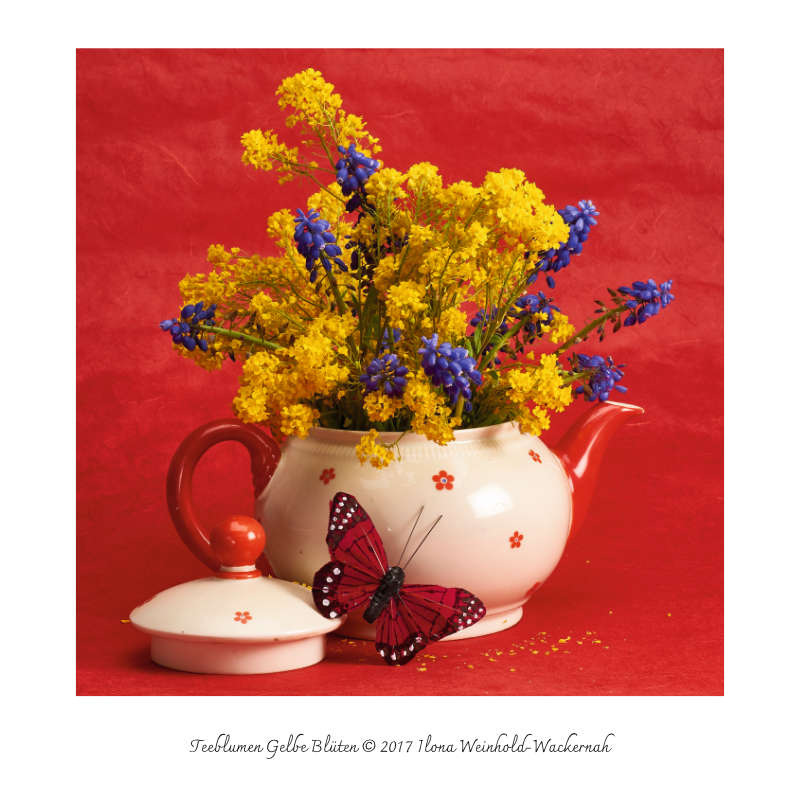 Ilona Weinhold-Wackernah, Werkkatalog Fotografien 1988-2026 – Bild 5