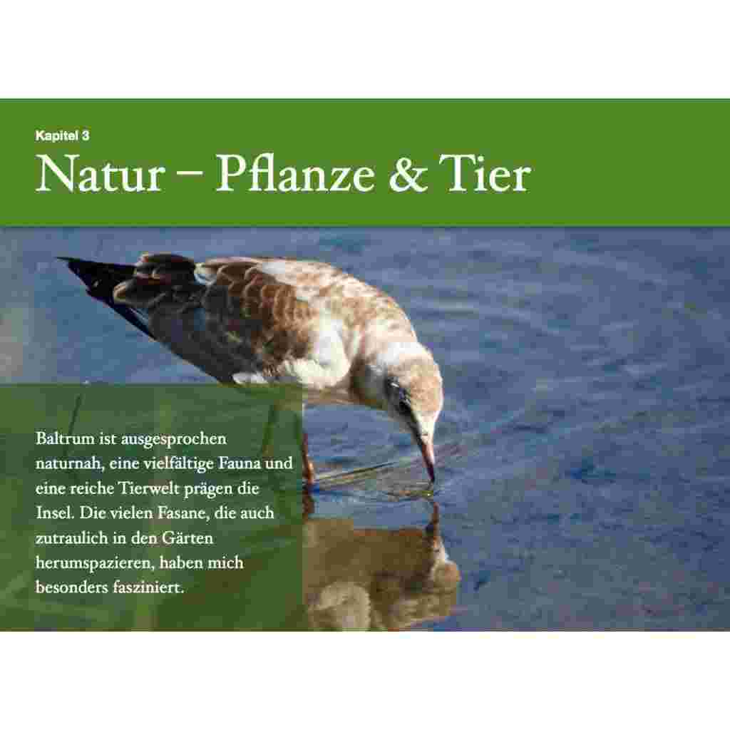 eBook »Baltrum Bilderbuch« – Bild 4