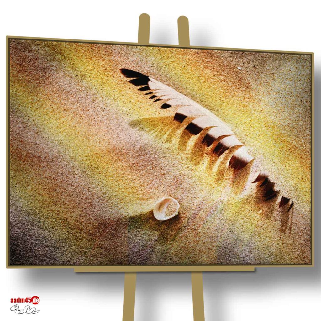 Strandgut auf der Insel Juist 100x75 cm Wandbild im Schattenfugenrahmen
