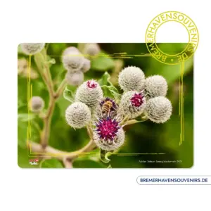 Bremerhaven Distelblumen Glasschneidebrett
